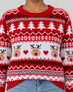Weihnachtspullover – Detail Rentier-Motiv